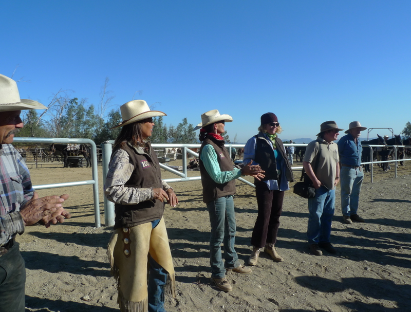 Illustration for article titled The Los Angeles Aqueduct Turns 100, or The Mules That Built L.A.